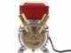 Pompe &eacute;lectrique de transfert Rover 25 CE moteur monophas&eacute; 0,8 hp &ndash; &eacute;lectropompe vin et eau