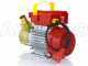 Pompe &eacute;lectrique de transfert Rover 30 CE moteur 0,9 hp &ndash; &eacute;lectropompe vin et eau