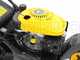 Mowox PM 4645 S Trike - Tondeuse &agrave; gazon thermique autotract&eacute;e - Roue avant pivotante