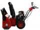 GeoTech-Pro STP971 WEBS - Fraise &agrave; neige thermique - B&amp;S 1450 Snow
