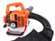 Ama AG2-BLV - Souffleur aspirateur thermique 3 en 1 - Moteur 2 temps
