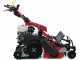 Ginko-MGM TT 786 HD - Tondeuse d&eacute;broussailleuse professionnelle &agrave; couteaux - Sur chenilles - Honda GX270