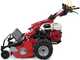 Ginko-MGM TT 786 - Tondeuse d&eacute;broussailleuse professionnelle &agrave; couteaux - Honda GX 270