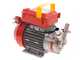 Rover Novax 20-M - Pompe &eacute;lectrique de transfert en alliage anticorrosion - Monophas&eacute;e - 230V