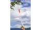 Stocker Art. 502 - Coupe-branches sur perche fixe de 120&nbsp;cm - &Oslash;&nbsp;10&nbsp;mm - coupe orientable