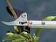 Stocker Art. 503 - Coupe-branches sur perche fixe de 150&nbsp;cm - &Oslash;&nbsp;10&nbsp;mm - coupe orientable