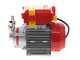 Rover Novax 14-OIL &ndash; Pompe &eacute;lectrique de transfert d&rsquo;huile en alliage anticorrosion &ndash; Monophas&eacute;e &ndash; 230 V
