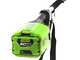 Greenworks GD60PS - Perche &eacute;lagueuse &agrave; batterie sur rallonge - Batterie 60V 2Ah