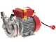 Rover Novax 30-OIL &ndash; Pompe &eacute;lectrique de transfert d&rsquo;huile en alliage anticorrosion &ndash; Monophas&eacute;e &ndash; 230 V