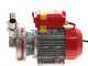 Rover Novax 30-OIL &ndash; Pompe &eacute;lectrique de transfert d&rsquo;huile en alliage anticorrosion &ndash; Monophas&eacute;e &ndash; 230 V