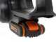WORX WG322E.1 - Tron&ccedil;onneuse &eacute;lectrique  20V 2 Ah - Guide de 25 cm