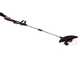 Worx WG163E.9 - Coupe-bordures &eacute;lectrique - 20V - SANS BATTERIE NI CHARGEUR