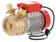 Rover BE-M 50 - Pompe &eacute;lectrique de transfert en bronze - Monophas&eacute; - 230 V