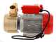 Rover BE-M 50 - Pompe &eacute;lectrique de transfert en bronze - Monophas&eacute; - 230 V