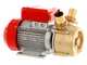 Rover BE-M 50 - Pompe &eacute;lectrique de transfert en bronze - Monophas&eacute; - 230 V
