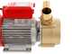 Rover BE-M 50 - Pompe &eacute;lectrique de transfert en bronze - Monophas&eacute;e - 230 V