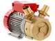 Rover BE-M 50 - Pompe &eacute;lectrique de transfert en bronze - Monophas&eacute;e - 230 V