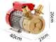 Rover BE-M 50 - Pompe &eacute;lectrique de transfert en bronze