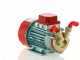 Rover Marina 20 - Pompe &eacute;lectrique de transfert en bronze - 12 V
