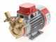 Rover Marina 25 - Pompe &eacute;lectrique de transfert en bronze 12 V