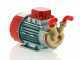 Rover Marina 20 - Pompe &eacute;lectrique de transfert en bronze - 24 V