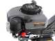 Blackstone TIL-B 360 - Motobineuse thermique &agrave; essence de 5 CV - Moteur Ducar de 150 cm3