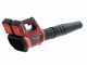Souffleur &agrave; feuilles TURBO Einhell GE-LB 36/210 Li E - 36V - 2x 18V 4Ah