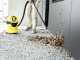 Karcher WD 3 - Aspirateur multi-usage &agrave; batterie - SANS BATTERIE NI CHARGEUR