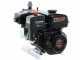 Pompe de pulv&eacute;risation thermique avec pompe Comet MP 30 - Moteur Loncin G200F