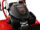 Blue Bird Alhambra TS PRO H0 - Motofaucheuse avec lames rotatives - Honda GCV 200
