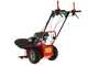 Blue Bird Alhambra TS PRO H0 - Motofaucheuse avec lames rotatives - Honda GCV 200