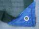 Blue Bird Olimpo 24-56 AT - Peigne vibreur &eacute;lectrique 225/310 cm &agrave; batterie au lithium 3 x 21 V 5 Ah - Perche t&eacute;lescopique en carbone