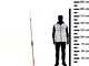 GeoTech FS 180-300 - Long coupe-branches pour haies de 3,0&nbsp;m