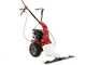 Eurosystems M90  - Motofaucheuse monolame - Loncin 123 OHV