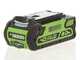 Greenworks GD40TCS - Tron&ccedil;onneuse de taille &eacute;lectrique 40V 2Ah - Guide 25 cm