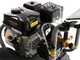 BlackStone B-PW 11/230 - Nettoyeur haute pression thermique - 228 bar - 678 l/h - Moteur DH225 - avec pompe Annovi &amp; Reverberi