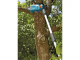 Gardena TCS 20/18V P4A Ready-To-Use Set - Perche d'&eacute;lagage t&eacute;lescopique &agrave; batterie