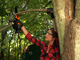 Worx WG324E - &Eacute;lagueuse manuelle &agrave; batterie 20 V 2 Ah