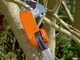 Bahco ATP 230-410 - &Eacute;chenilloir d'&eacute;lagage professionnel - perche t&eacute;lescopique de 230-410&nbsp;cm - &Oslash;&nbsp;32&nbsp;mm - &eacute;chenilloir