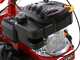 Eurosystems M210 - Motofaucheuse bilame - Loncin LC1P65FE