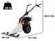 Eurosystems M210 - Motofaucheuse bilame - Loncin LC1P65FE