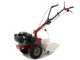 Eurosystems P55 - Motoculteur  &agrave; essence - Loncin LC1P70F-3 - 6,5 Cv