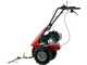 Eurosystem Minieffe - Motofaucheuse multifonction - Loncin L200 OHV