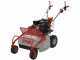 GeoTech-Pro GFM 600 L - Tondeuse d&eacute;broussailleuse &agrave; couteaux - Loncin 250cc