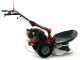 Motofaucheuse rotative &agrave; roues thermique tract&eacute;e Eurosystems P55 - Loncin 196cm3