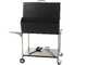 Famur BK 10 Elite - Barbecue &agrave; bois et charbon