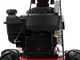 Eurosystems Minieffe - Motofaucheuse  multifonction -  B&amp;S 450E