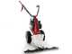 Eurosystems Minieffe - Motofaucheuse  multifonction -  B&amp;S 450E