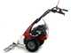 Eurosystems Minieffe - Motofaucheuse  multifonction -  B&amp;S 450E