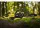 Tron&ccedil;onneuse &eacute;lectrique RYOBI BRUSHLESS RY36CSX35A-0 - MAX POWER 36V - longueur du guide 35cm - SANS BATTERIE ET SANS CHARGEUR